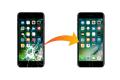 Замена дисплейного модуля Apple iPhone 7 Plus (без стоимости запчасти) фото 1